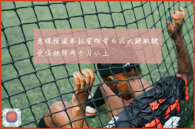 意媒报道弗拉霍维奇或因大腿肌腱受伤缺阵两个月以上