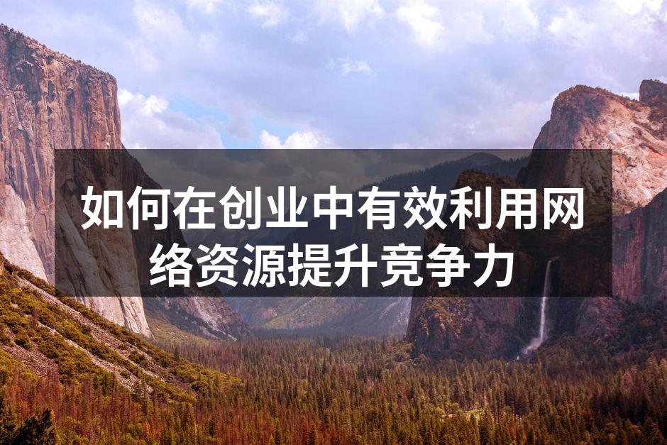 如何在创业中有效利用网络资源提升竞争力