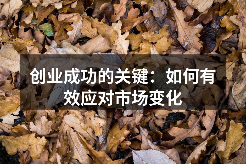 创业成功的关键：如何有效应对市场变化