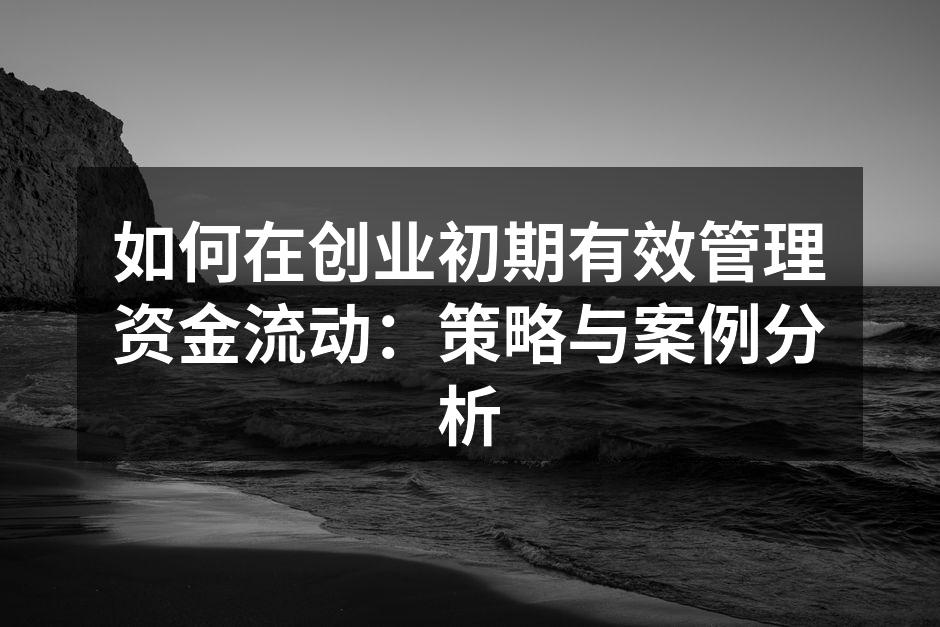 如何在创业初期有效管理资金流动：策略与案例分析